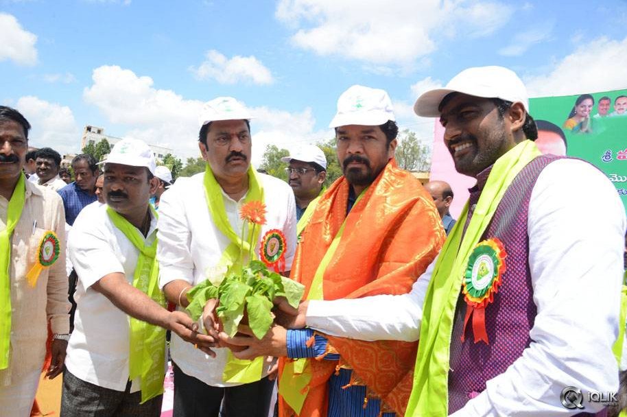 Celebs-participating-Haritha-Haaram-Event